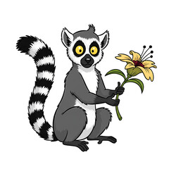 Cute Curious Lemur Holding Flower Isolated