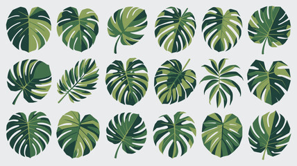 Stunning collection of vibrant green monstera and palm leaves, perfect for modern tropical decor, summer designs, and botanical themes.