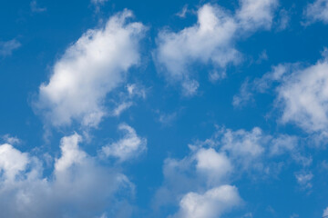 Naklejka premium 青い空とちぎれ雲