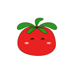tomato vector illustration