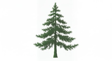Simple pine tree graphic image