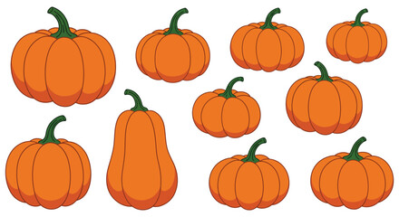 Collection of various sized cartoon pumpkins and gourds