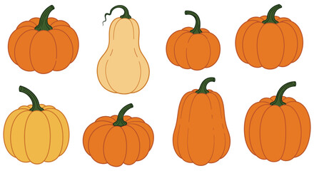 Collection of various pumpkins and butternut squash illustrations