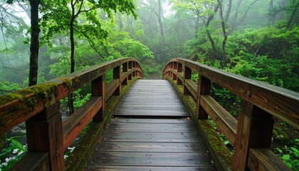 Obraz premium Serene wooden footbridge leading into a misty, verdant forest, a tranquil path into nature