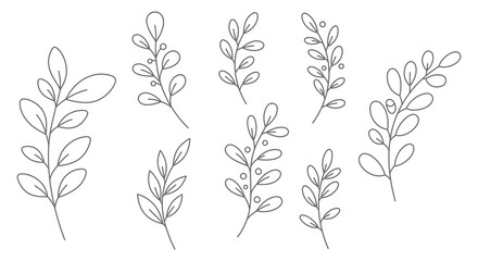 Simple Line Drawing Set of Elegant Botanical Branches