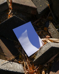 plain a4 poster paper mockup with natural light