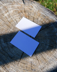 plain business card mockup on the sliced wood background natural scene