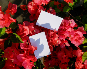 plain business card mockup on the red flowers background