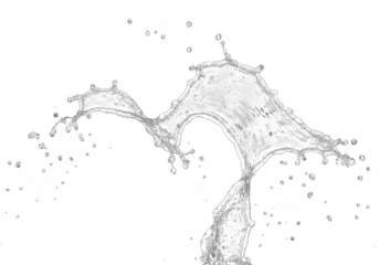 Water splash isolated on transparent background