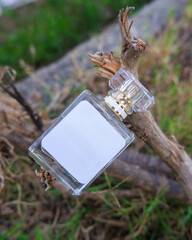 Perfume bottle mockup with plain white label on the wood nature background