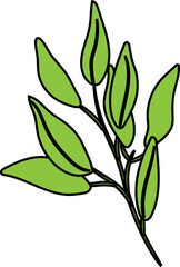 Obraz premium branch with leaves