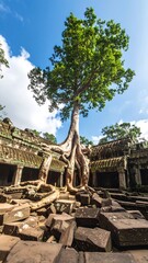 Ancient temple roots