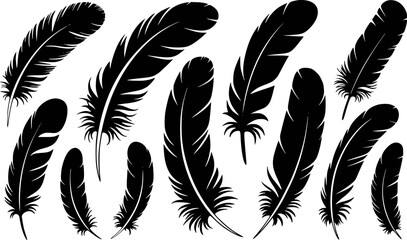 Obraz premium Black bird feathers collection quill plume