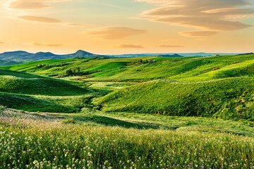 beautiful green evening meadow with bloom flowering field during amazing spring sunset among hills and farms with beautiful mountains with evening sky on baclground