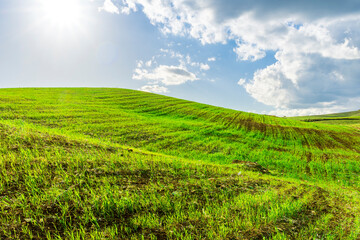 green spring hills with young grass and amazing growing fields and hills with beautiful bright cloudy sunset on background of rural landscape