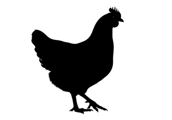 Silhouette of a chicken, a common farm animal, often used to represent agriculture and rural life isolated on white background