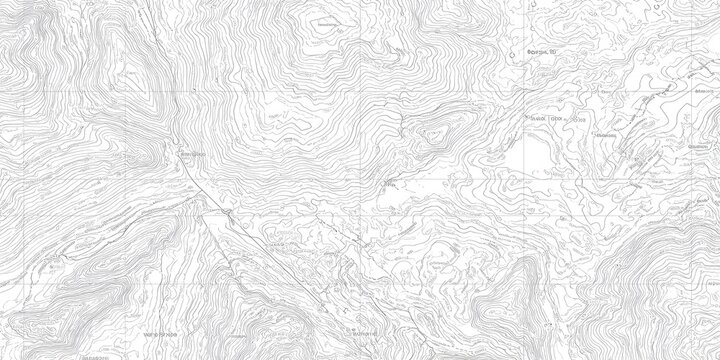 Detailed grayscale topographic map, showing elevation contours and geographic features - Powered by Adobe