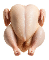 Naklejka premium Raw whole chicken on a plain surface.