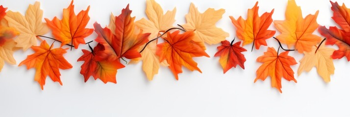 Obraz premium Autumn maple leaves background