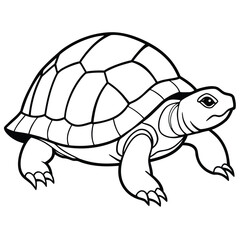 Black and white line drawing of a tortoise turtle reptile