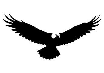 Naklejka premium eagle heads illustration in black and white color