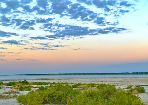 lagoon in the Paraguayan Chaco