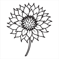 A Charming Bouquet of Bachelor’s Button Flowers, a Symbol of Hope and Love, a Rustic Floral Arrangement Perfect for Country Decor and Still-Life