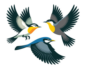 Obraz premium Stylized birds warblers artwork in colorful vector style