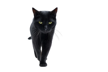 Black cat with green eyes walking forward isolated on transparent background