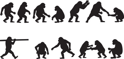 The Obsidian Primate