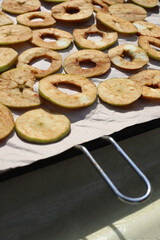 Preparing fresh apples for drying. Sliced fresh apples lie on parchment in the sun