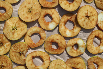 Preparing fresh apples for drying. Sliced fresh apples lie on parchment in the sun