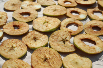 Preparing fresh apples for drying. Sliced fresh apples lie on parchment in the sun