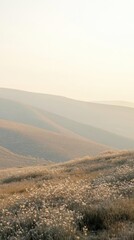 Obraz premium Gently Rolling Hills covered with Wildflowers at Sunset. Serene Landscape.