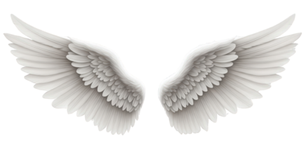 Majestic White Angel Wings Spread Open feather feathers angelic divine spiritual heavenly sky flight soaring freedom purity innocence grace beauty