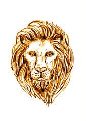 Hand drawn leo zodiac sign illustration, horoscope background.
