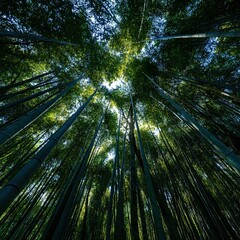 Lush bamboo forest with tall slender stalks 2