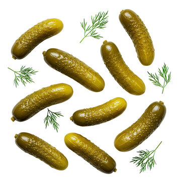Dill pickles with fresh dill garnish arranged in a circle isolated PNG with Transparent Background