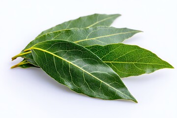 Obraz premium Fresh Green Bay Leaves on White Background for Natural Cooking, Herbal Remedies, Organic Seasoning, and Culinary Inspiration