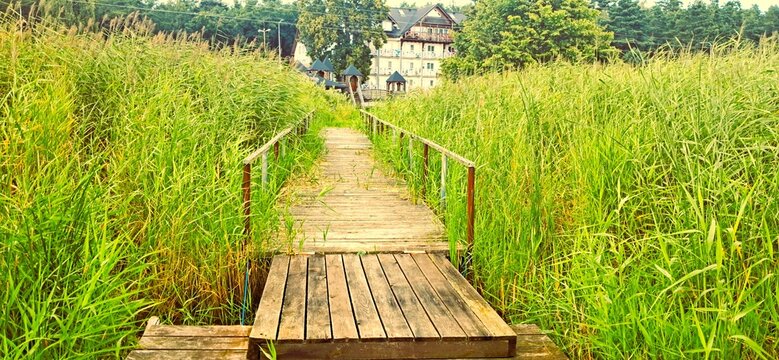 krynica morska przy zalewie wiślanym zjzda z trasy 501