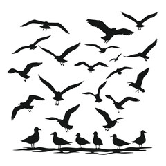 Flying and Standing Seagull Silhouettes, Coastal Bird Vector Set, Marine Wildlife Graphic Collection
