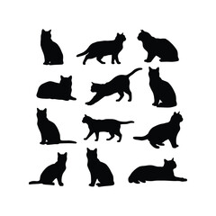 Set of multiple cat silhouettes in various poses, feline collection, domestic pets, cats, animals