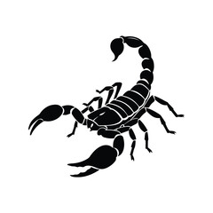 Scorpion black silhouette vector, poisonous animal, dangerous insect, desert wildlife, zodiac sign, horoscope, isolated graphic