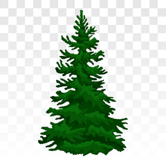 winter forest pine. Winter fir tree. Eps 10. pine trees covered in snow. Realistic green pine trees under snow. Forest