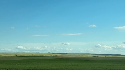green field and blue sky
