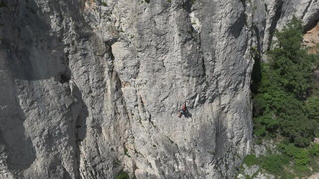 AERIAL: Skilled woman climbs a tall, limestone rock face above lush green trees. Female climber appears small in comparison to the massive vertical wall, located in a beautiful natural environment.