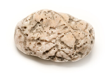 Close-up of a porous marine stone with unique texture and natural patterns, isolated on white background