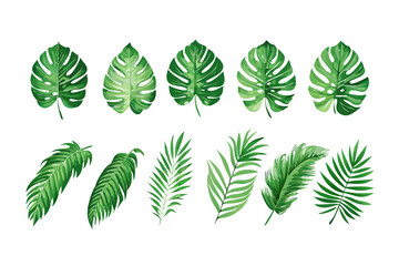 Tropical leaves illustration of monstera and palm leaves, green foliage, exotic plants, nature design, art