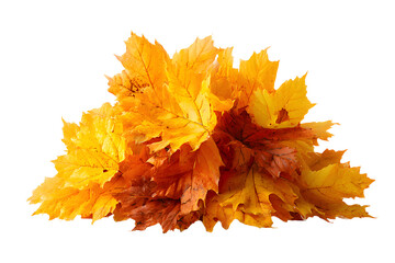 Heap of dry yellow brown maple fallen leaves isolated transparent png. Autumn season.