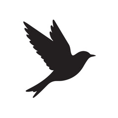 Obraz premium Black silhouette flying bird wings spread